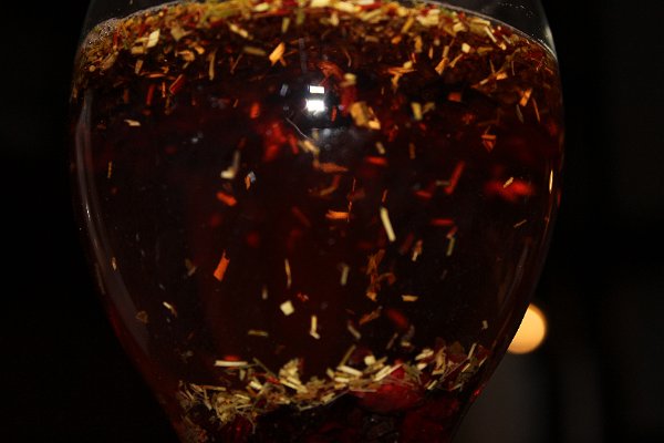 New Camera Dec2010 339